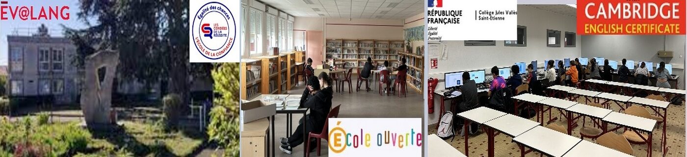 image page d'accueil avec eleves sur ordi retouchée.jpg